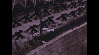 Link to Video | color, color motion picture film