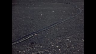 Link to Video | Wehrmacht, Rocketry, Germany, color, World War II, Northern Germany, Peenemünde, Peenemünde Army Research Center, color motion picture film