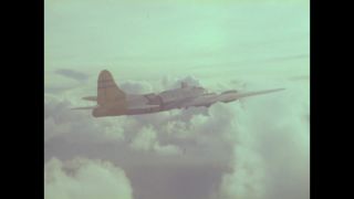 Link to Video