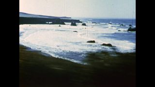Link to Video
