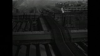 Link to Video