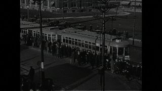 Link to Video