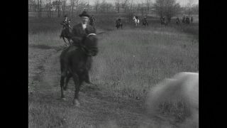 Link to Video