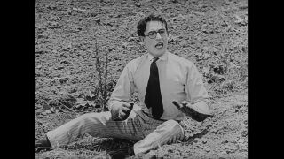 Link to Video | United States of America, Hollywood, Los Angeles, California