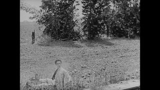 Link to Video | United States of America, Hollywood, Los Angeles, California