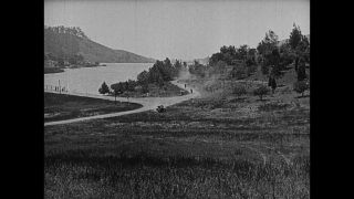 Link to Video | United States of America, Hollywood, Los Angeles, California