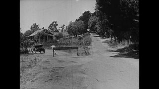 Link to Video | United States of America, Hollywood, Los Angeles, California