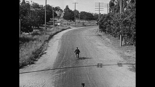 Link to Video | United States of America, Hollywood, Los Angeles, California