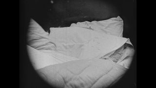 Link to Video | United States of America, Hollywood, Los Angeles, California