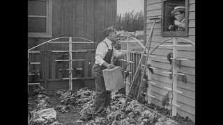 Link to Video | United States of America, Hollywood, Los Angeles, California