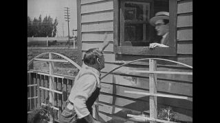 Link to Video | United States of America, Hollywood, Los Angeles, California