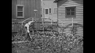 Link to Video | United States of America, Hollywood, Los Angeles, California