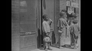 Link to Video | United States of America, Hollywood, Los Angeles, California