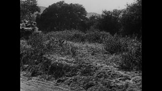 Link to Video | film, 1918, Universal Subscription, Give Her Gas, black-and-white photographic film, silent film, United States of America