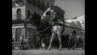 Link to Video | United States of America, Hollywood, Los Angeles, California
