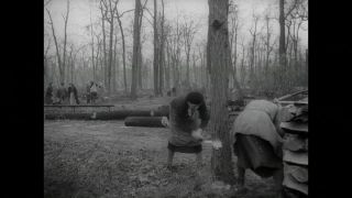 Link to Video
