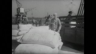 Link to Video | post-war, History of Germany (1945–1990), Germany, 1946, food, food distribution, Berlin, black and white, food product