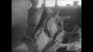 Link to Video | post-war, History of Germany (1945–1990), Germany, 1946, food, food distribution, Berlin, black and white, food product