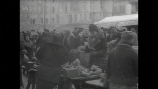 Link to Video