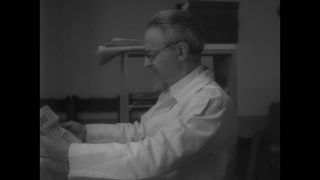 Link to Video | personality