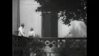 Link to Video | personality