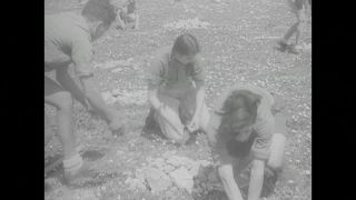 Link to Video