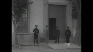 Link to Video | personality