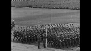 Link to Video | personality