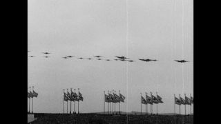 Link to Video | personality