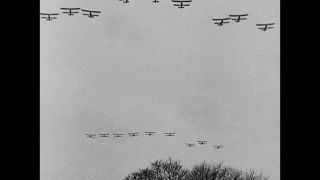 Link to Video | personality