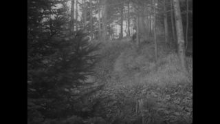 Link to Video | antisemitism, Third Reich