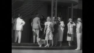 Link to Video | United States of America, Hollywood, Los Angeles, California