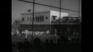 Link to Video | United States of America, Hollywood, Los Angeles, California