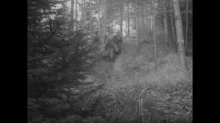 Link to Video | antisemitism, Third Reich