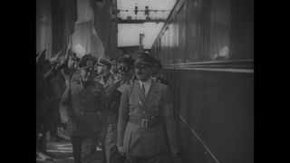 Link to Video | personality