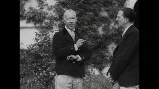 Link to Video | personality