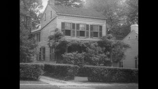 Link to Video | personality, Albert Einstein