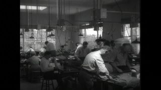 Link to Video | United States of America, Hollywood, Los Angeles, California