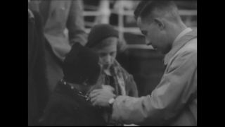 Link to Video | antisemitism, Third Reich