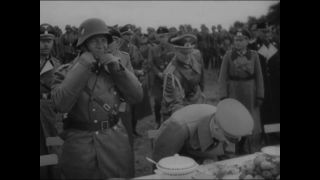 Link to Video | personality