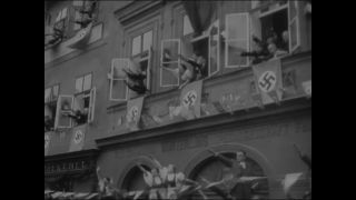 Link to Video | personality