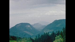 Link to Video | personality