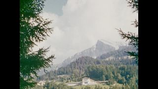 Link to Video | personality