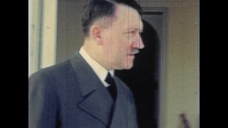 Link to Video | personality