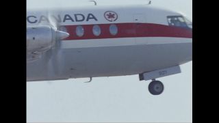 Link to Video | color