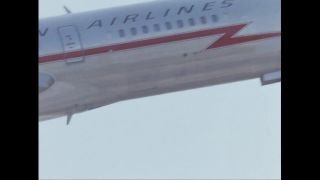 Link to Video | color