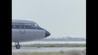 Link to Video | color