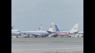 Link to Video | color