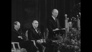 Link to Video | personality