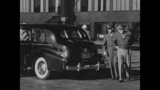 Link to Video | personality